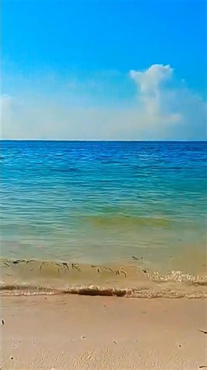 Stop. Watch. Relax. It’s Beach Time 🏖️ #ScrollReset #QuickChill #MiniEscape #youtubeshorts #shorts