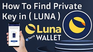 How To Find Private Key in ( LUNA ) Terra Station Wallet | Terra Station Tutorial — Hive