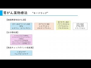 【胃がんの治療④各論 抗がん剤治療】臨床腫瘍科の専門医が解説します