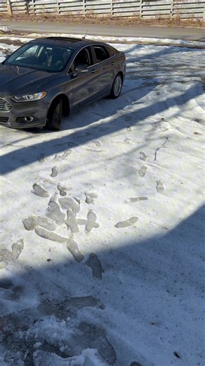 AI fogs and sunroof where??? 🙂‍↕️ @𝓢𝓮𝓫𝓫𝓮𝓮𝔃 𝓯𝓾𝔃𝓮 @N☝️ @ebonii.the.edge @🍀3.5_duratec🍀 @David. @3.5flex @2008 escape limited @10cadillac.srx @dragonfruit @J…🏂 @17.xt5 @⚡️’15 Impala Limited ⚡️ @03 Altima QR25DE @2016.verano @Hunter #ford @Ford Motor Company #fusion #se #20t