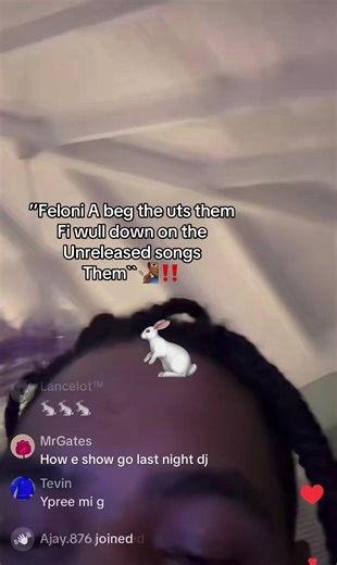 Rabbit 🐇‼️ | feloni 19 unreleased