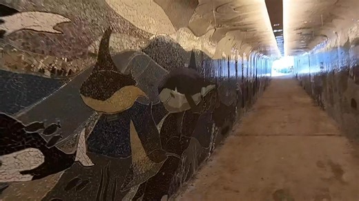 The Mosaic Tunnel at Pinnacle Point GC out in Mossel Bay, Beautiful 👌 | Lester Esterhuizen