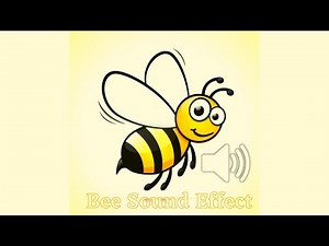 Bumble Bee| @Sound Effect