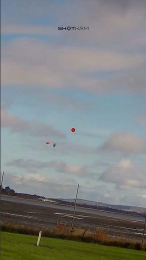 Down-the-Line Trap (DTL)