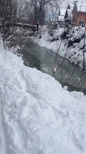 Videoclipuri postate de 0240 (@stefy0240) cu sunet original - Afro-Carpathic