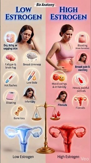 Low Estrogen vs High Estrogen Symptoms in Women | 3D Hormone Imbalance Guide #womenhealth #estrogen