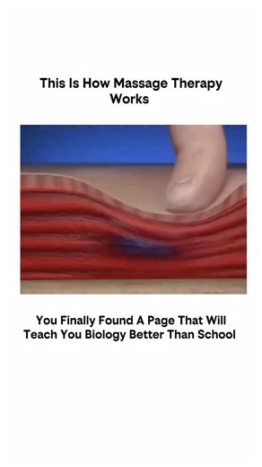 explained__biology on Instagram: "Muscle therapy, also known as massage therapy or soft tissue therapy, is a manual or hands-on technique used to promote relaxation, relieve pain and stiffness, and improve overall muscle function. Here’s how it works: Benefits 1. *Relaxation*: Muscle therapy can help reduce muscle tension and promote relaxation. 2. *Pain relief*: It can help alleviate pain and discomfort caused by muscle strain, injury, or chronic conditions. 3. *Improved flexibility*: Regular m