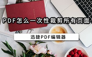 pdf怎么一次性裁剪所有页面