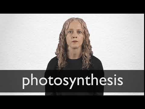 How to pronounce PHOTOSYNTHESIS in British English