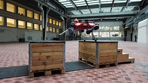 A quadrupedal robot can do parkour and walk across rubble