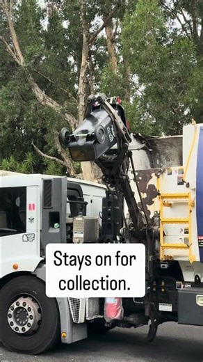 Open Bin Lids + Rain = Hidden Stormwater Pollution