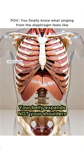 POV: You Finally Know What Singing From the Diaphragm Feels Like
