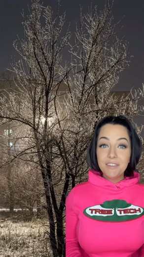 Have you ever heard your tree make a cracking sound in the middle of the night? 🌙❄️ There’s actually a reason it happens after dark, and it has everything to do with freezing temperatures! When the temperature drops quickly, moisture inside the wood can freeze and the tree can shift, causing loud cracks or pops. 🌳💥 Not sure if it’s a safety issue? We can help. ✅ Tree Tech offers tree removals all year round, proudly serving Perth and Huron County. 📍🌲 📞 519-301-2058 | 🌐 TreeTech.ca | Tree 