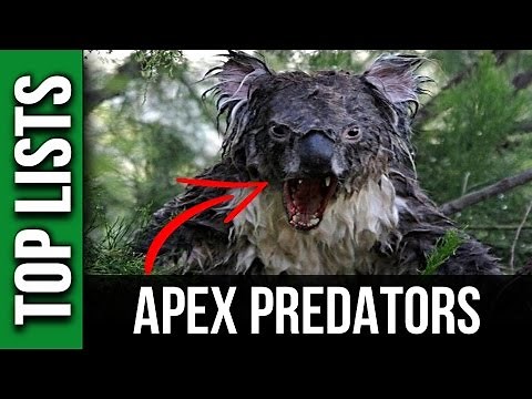10 DEADLIEST Apex Predators