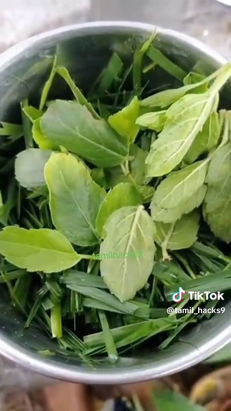 #CapCut #CapCut#tipsandtrickscks9#tiktok#tamiltips#trending#tamilhacks#tamiltiktok#tiktoktamil#fypdonggggggggg#tiktok