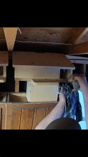 Squirrel Boxes on Instagram: "I don’t really know how to put into words how relieved I am that Thea moved the babies. It happened three separate times—possibly with all three of them. I had to carefully pick each one up and place them back in the box with Mom. Strangely, they didn’t make a sound, so I had to keep my eyes glued to the camera constantly. This was exactly the kind of situation I’ve talked about again and again—this is the time when they need a tree. People often ask if it’s okay to