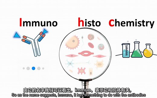 分子生物学—免疫组化原理（immunohistochemistry）