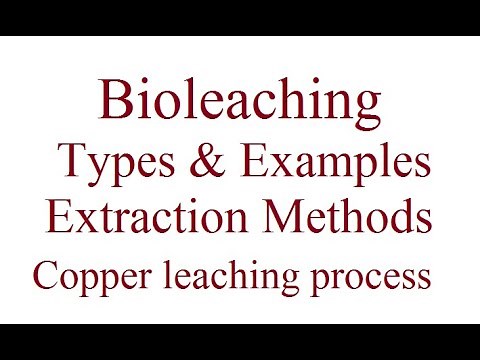 Bioleaching | Bioleaching And Their Types | Enviromental Biotechnology |