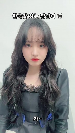 한국말 하는 깜냥이 🐈‍⬛