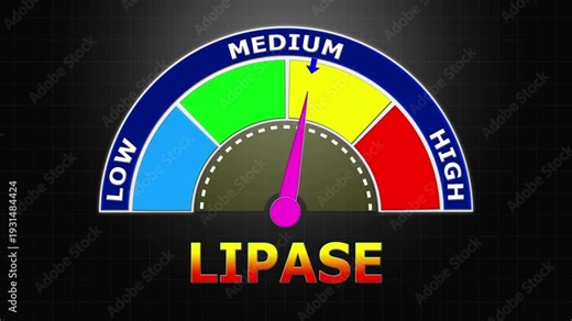 4K Animated Lipase Level Meter Increasing from Low to High Levels , Assessing Pancreatic Enzyme Activity and Pancreatitis Risk.