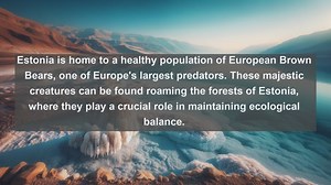 Discover Estonias Natural Treasures: Top 10 Native Animals Revealed