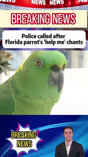 jamm (@jamm7538)’s videos with original sound - jamm