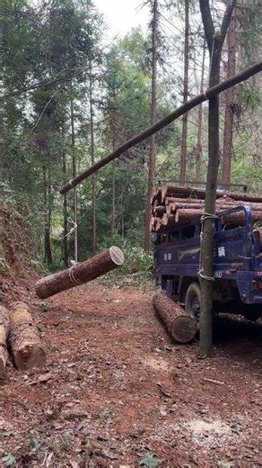 I'm Stunned! This simple device works so well.