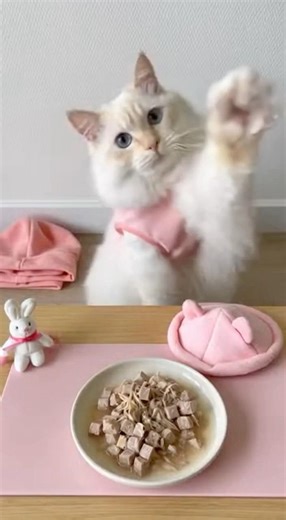 Crystal’s Mealtime 🍗