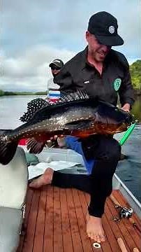 Delve into the Amazing rainforest and experience the awe-inspiring power of nature -Pu dear #fishing