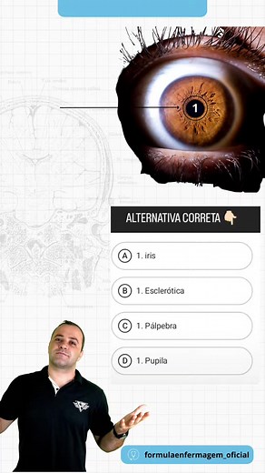 Anatomia do Olho: Pupila, Íris e Esclerótica