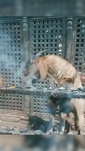 1M views · 3.6K reactions | It's almost weekend, are you ready to blow off steam and vibe with your friends? | Future House Music | Facebook