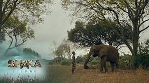 Face To Face With An Elephant Shaka Ilembe S1 Ep 6 Mzansi Magic Mp3 & Mp4 Download - clip.africa.com