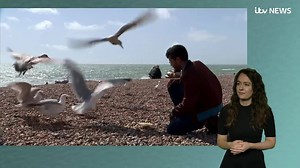 ITV Signed News: A round-up of the week's events bit.ly/2D6NSt1 | ITV News