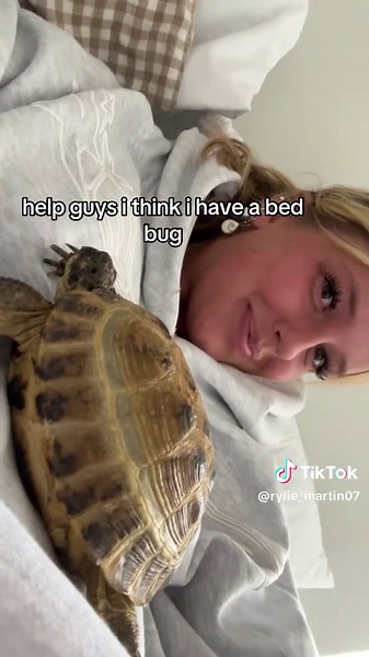 Caring for Tortoises: Tips for Pet Owners