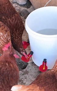 58K views · 239 reactions | Farm Smarts! Simple Ideas That Make a Big Difference | 3-Minute Hacks | Facebook