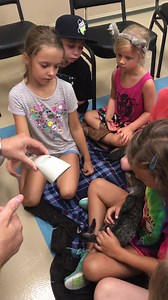 Check out the campers at Pawmetto Lifeline Fur Friends Camp learning how to scan a kitten for a microchip! For more information about Pawmetto Lifeline's Fur Friends Camp or any of their adoptable animals, visit their website | Midlands Anchor