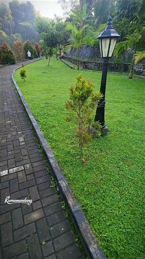 This Beautiful Lake Will Calm Your Mind 🌿 | Peaceful Nature Walk