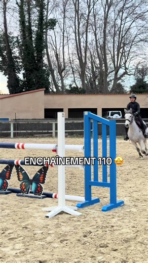 Cours de saut équestre : une expérience incroyable 🤩