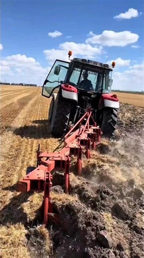 Modern Rice Field Plowing: High Efficiency for Maximum Harvest! 🚜🌾