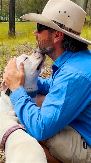 When he finally learns how to play and smile from ear to ear 💕 Luke told us how he was Chance’s last chance before being put to sleep — and how he always knew there was a big, gentle baby hiding under that tough exterior 🥹 See how Luke and The Farm are giving more dogs a second chance on Instagram: thedo.do/thefarmfordogs. See how to support his rescue here: thedo.do/DonateDoggyDayCare. | The Dodo