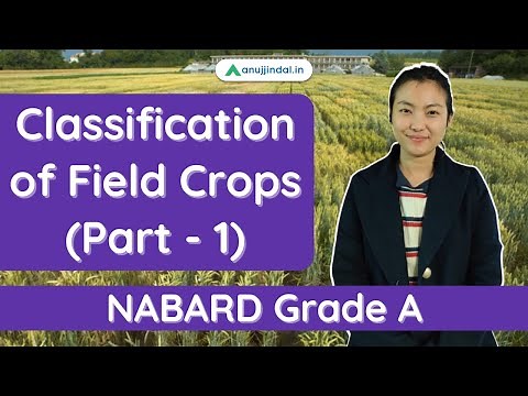 NABARD Grade A 2021 | Classification of Field Crops - by Hansa Ma'am