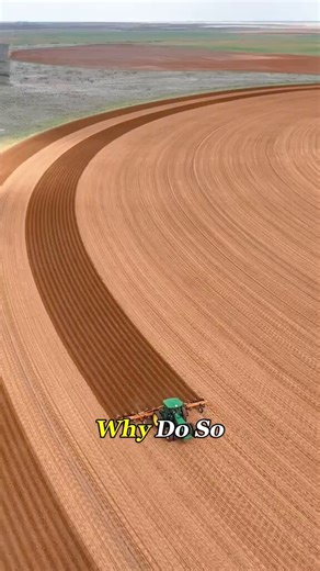 This farming method looks strange, but it’s smart. Watch this video.