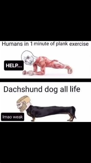 Skill issue #funny #memes #funnyvideo #comedy