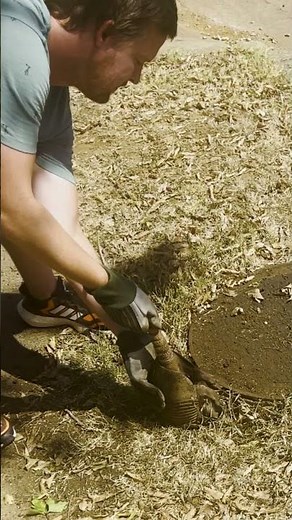 They Just Pulled An Animal Out Of This Hole! 😱