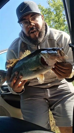 Does spinnerbaits get bites late November, YES! 💯 #spinnerbait #bassfishing #subscribe