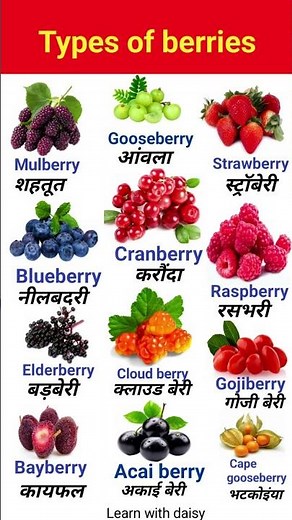 Kinds of berries । Common berries can you eat। Types of berries
