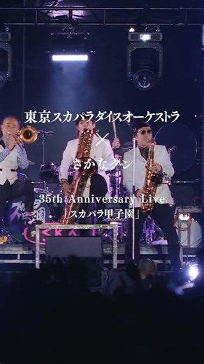 東京スカパラダイスオーケストラ[スカパラ/tokyoska] on Instagram: "🔥好評発売中🔥 35周年記念ライブ映像 ① スカパラ甲子園 ② DOWN BEAT ARENA PARTⅡ 10/22よりライブ映像を連日公開中⚡️ 🎵Paradise Has No Border #さかなクン × #スカパラ 『スカパラ甲子園』には 本映像を含む38曲が収録❣️"