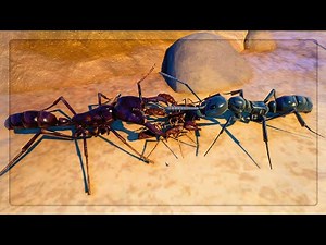 Using Driver Ants VS Matabele Ants in Empires Of The Undergrowth