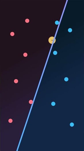 How a Perceptron Learns to Draw the Line