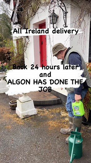 3.3K views · 75 reactions | Algon ,Path ,Patio,Deck ,Tarmac cleaner ....